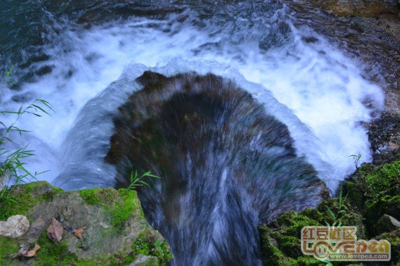 硕大的苹果