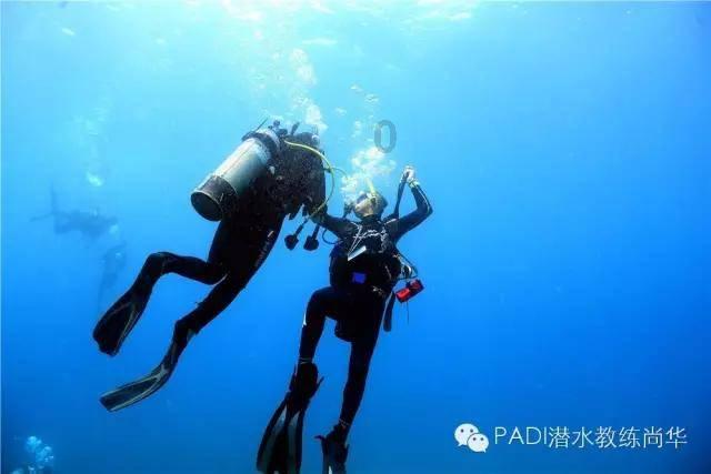 逃离天伯伦森林